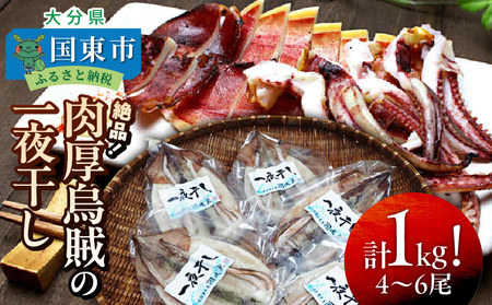 絶品！肉厚烏賊の一夜干し1kg/ いか イカ 烏賊 するめイカ 一夜干し 肴 つまみ おかず 海鮮_2366R