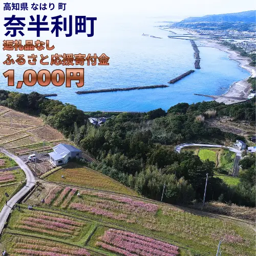 999999-1　高知県奈半利町応援寄附金（返礼品なし）