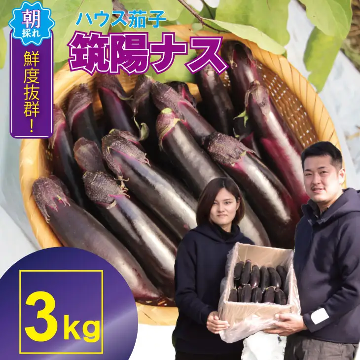 【先行予約】小城市産 筑陽ナス 3kg 朝採れ 新鮮 ハウス栽培 茄子 A080-041