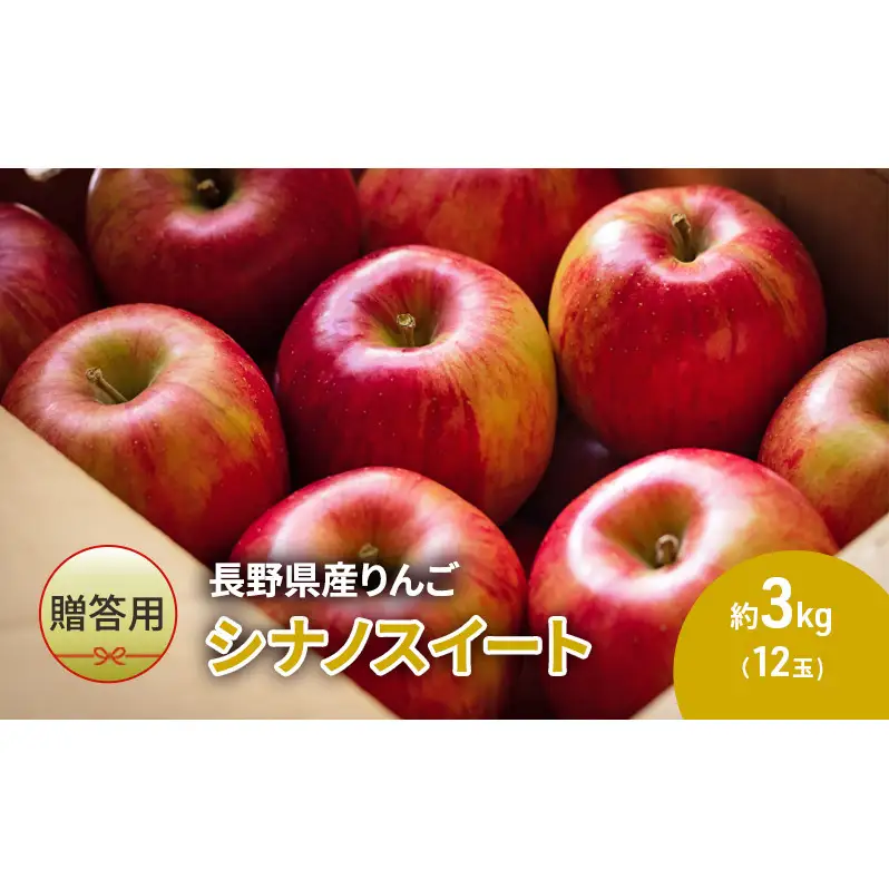 りんご 長野 贈答用 リンゴ シナノスイート 約3kg （12玉） 産地直送 ギフト プレゼント 贈答 贈答品 贈り物 フルーツ 果物 デザート 林檎 秋 旬 信州 長野県 長野県産