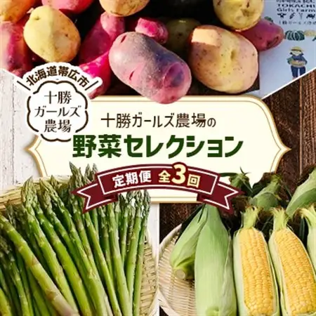 【発送月固定定期便】直送!【北海道の定番便】十勝ガールズ農場の野菜セレクション全3回_野菜 とうもろこし  トウモロコシ  野菜 アスパラガス    野菜 じゃがいも いも ジャガイモ 馬鈴薯  定期便 定期便  _【配送不可地域：離島】【4012917】