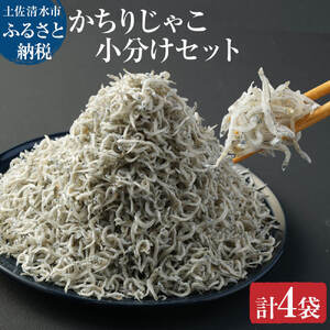 浜口海産物店のかちりじゃこ（60ｇ× 4袋）【R00016】