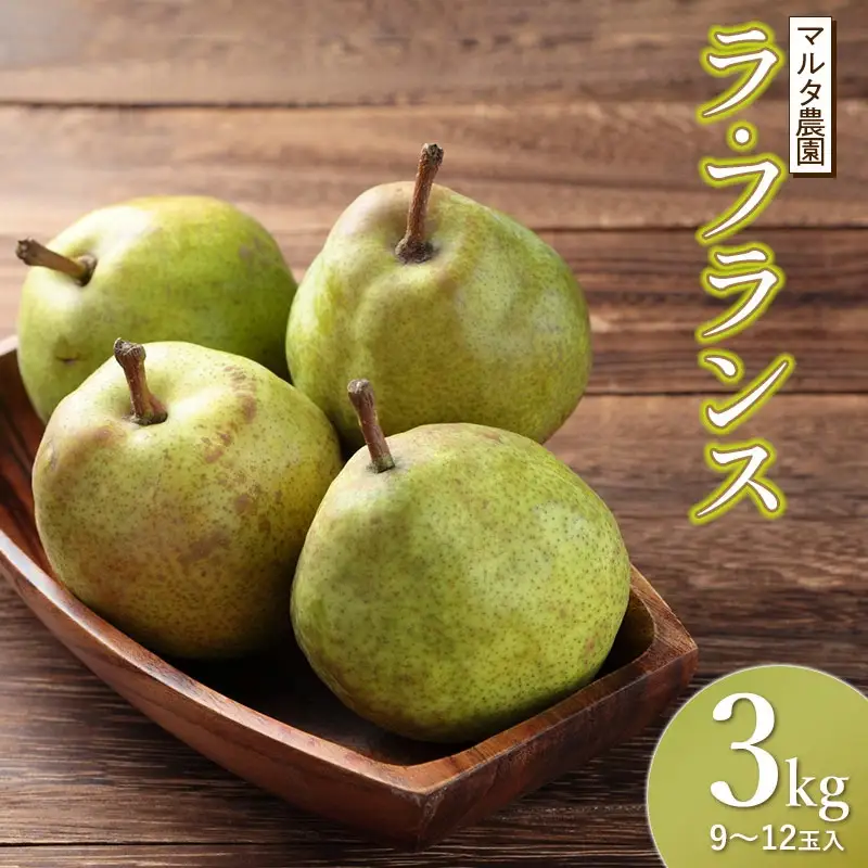 【令和8年産先行予約】ラ・フランス 3kg (9～12玉)　山形県鶴岡市産　マルタ農園