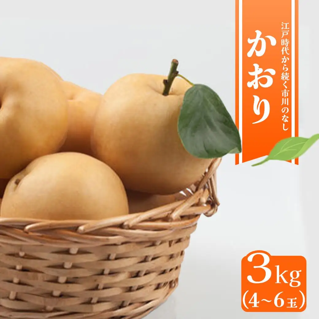 市川の梨　かおり3キロ(４～６個入り） 【12203-0200】