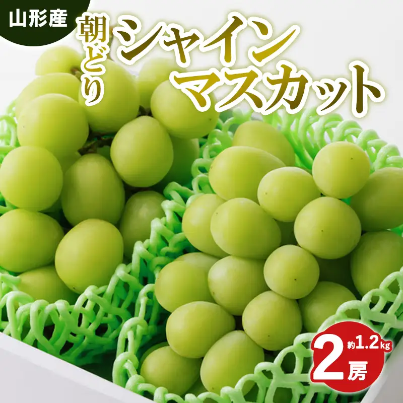 朝どりシャインマスカット 秀品 2房 約1.2kg【令和8年産先行予約】 FS25-589 くだもの 果物 フルーツ 山形 山形県 山形市 2026年産