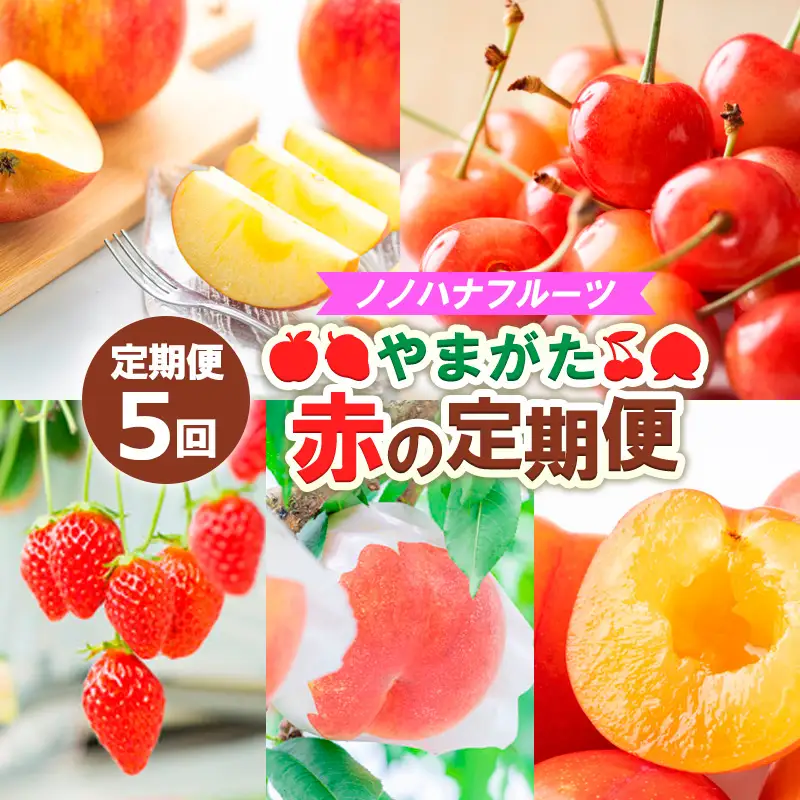 【定期便5回】ノノハナフルーツ やまがた赤の定期便 FZ25-812