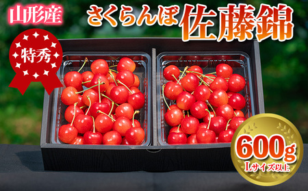さくらんぼ 「佐藤錦」 600g 特秀品 Lサイズ以上 山形産 【令和9年産先行予約】 FS24-669