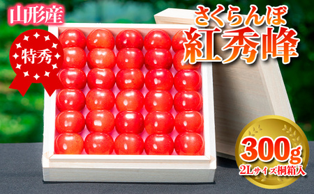 さくらんぼ 「紅秀峰」 300g 特秀品 2Lサイズ 桐箱入 山形産 【令和9年産先行予約】 FS24-036 くだもの 果物 フルーツ 山形 山形県 山形市 2027年産