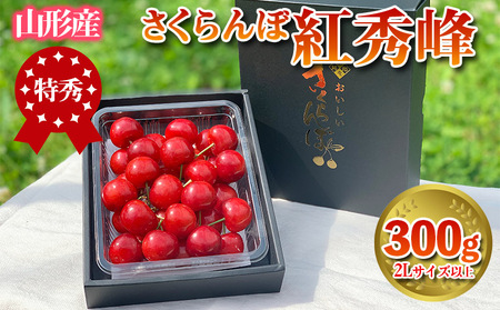 さくらんぼ 「紅秀峰」 300g 特秀品 2Lサイズ以上 山形産【令和9年産先行予約】 FS26-600