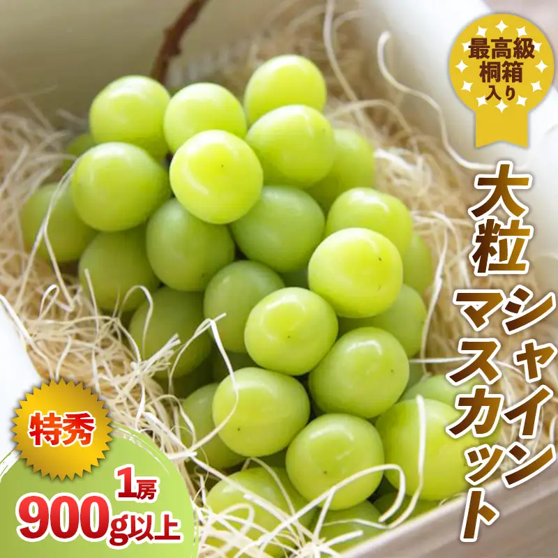 最高級桐箱入り 大粒 シャインマスカット 特秀品 900g以上【令和8年産先行予約】FS24-043 くだもの 果物 フルーツ 山形 山形県 山形市 2026年産