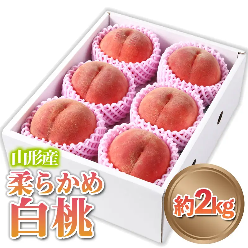 山形産 柔らかめ 「白桃」 秀品 約2kg (5玉～8玉)【令和8年産先行予約】FS24-081 くだもの 果物 フルーツ 山形 山形県 山形市 2026年産
