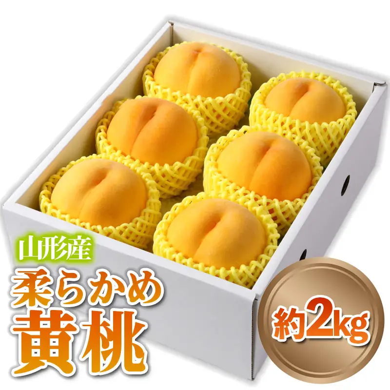 山形産 柔らかめ 「黄桃」 秀品 約2kg (5玉～8玉)【令和8年産先行予約】 FS24-082 くだもの 果物 フルーツ 山形 山形県 山形市 2026年産