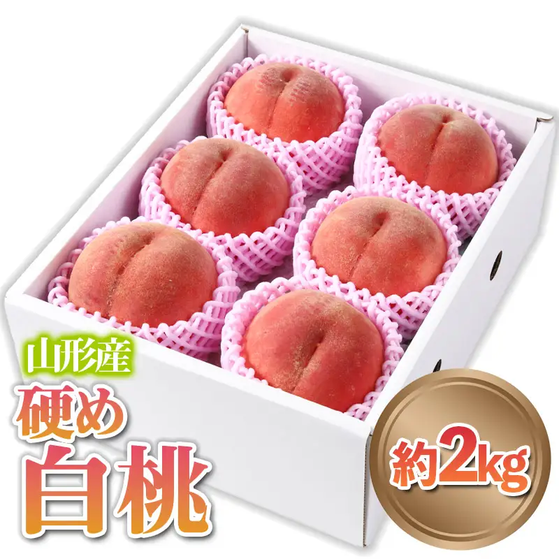 山形産 硬め 「白桃」 秀品 約2kg (5玉～8玉)【令和8年産先行予約】 FS24-083 くだもの 果物 フルーツ 山形 山形県 山形市 2026年産