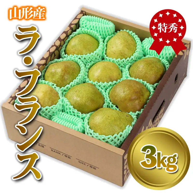 山形産 「ラ・フランス」 特秀品 3kg (8～13玉)【令和8年産先行予約】FS24-086