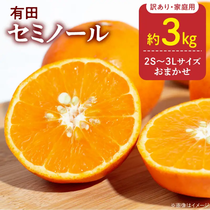【2027年先行予約】訳あり 家庭用 きよみ 清見オレンジ 和歌山 有田 2S～3Lサイズ混合 約3kg_DZ6224