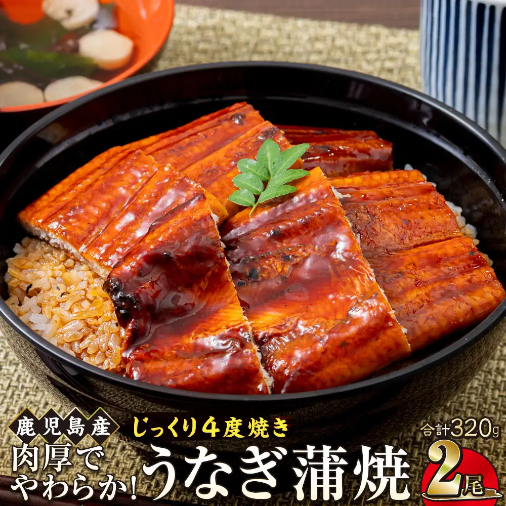 うなぎ 蒲焼 160g×2尾【鹿児島産】地下水で育てた絶品鰻｜国産 うなぎ 鰻 蒲焼 かばやき 魚 魚介 魚貝 海鮮 うな重 ひつまぶし ギフト 人気 おすすめ 土用丑の日 大崎町 大隅半島