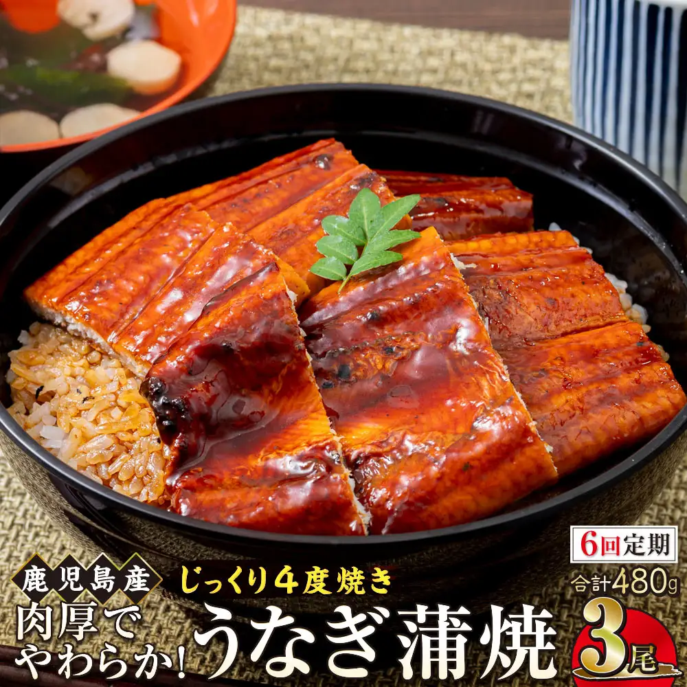 【6回定期】うなぎ 蒲焼 160g×3尾【鹿児島産】地下水で育てた絶品鰻｜国産 うなぎ 鰻 蒲焼 かばやき 魚 魚介 魚貝 海鮮 うな重 ひつまぶし ギフト 人気 おすすめ 大崎町 大隅半島