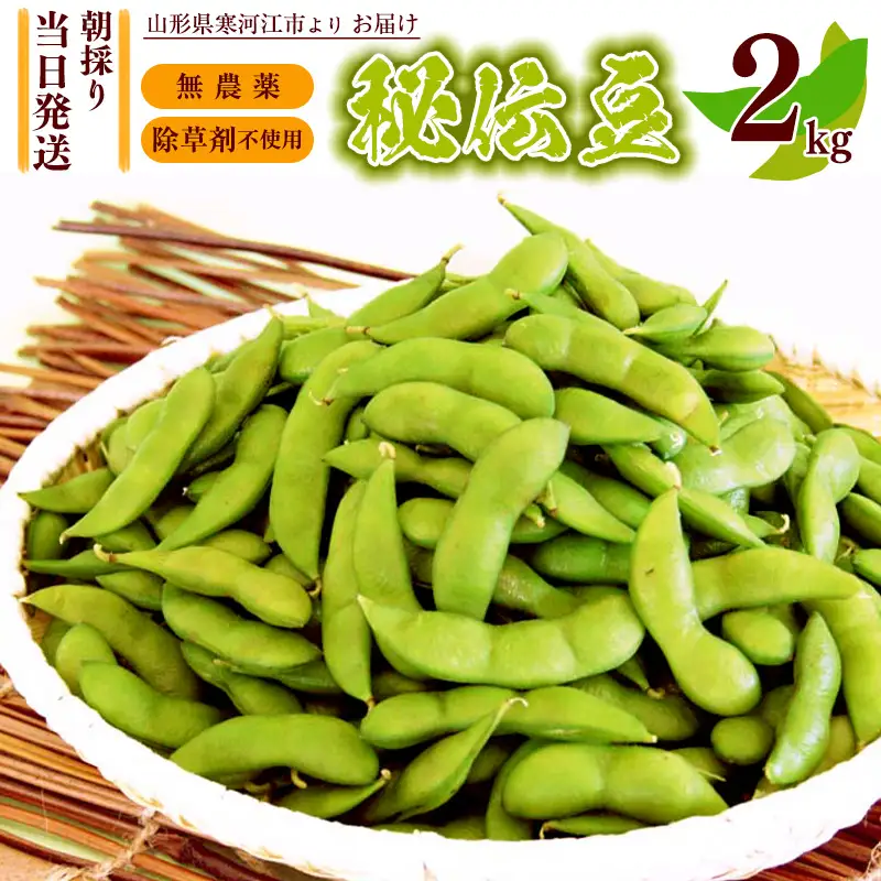 枝豆 秘伝豆 2kg《無農薬 除草剤不使用》山形県産 2026年産 令和8年産【2026年9月下旬から10月中旬頃】※ 配送不可 沖縄・離島 　012-B-MM021