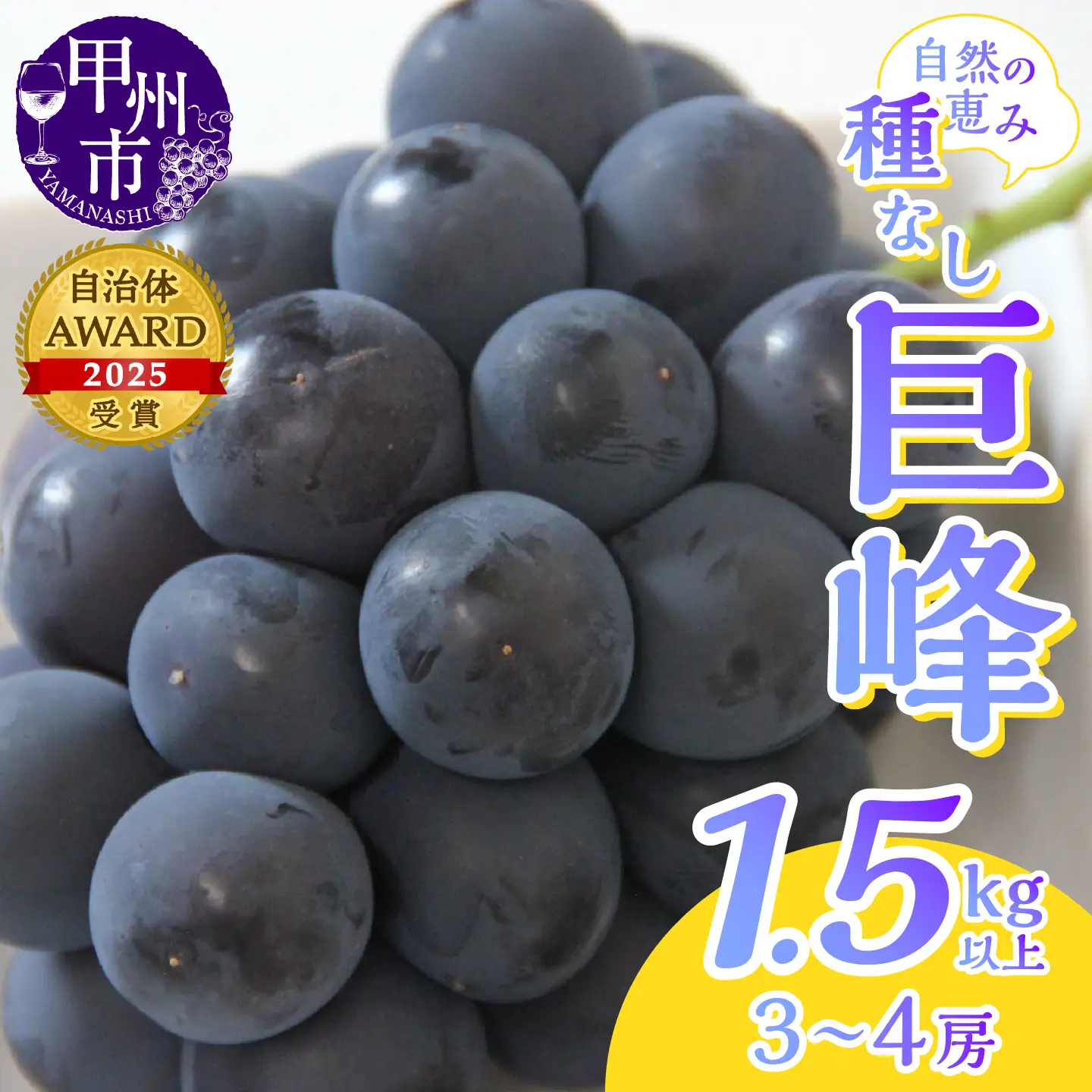 産地直送 山梨自然の恵み！種なし巨峰 3～4房 1.5kg以上【2026年発送】（LKS）B12-162 巨峰 フルーツ
