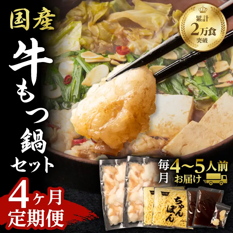 【4ヶ月定期便】寺師の国産牛もつ鍋セット 4～5人前 K005-T01 肉 牛肉 冷凍