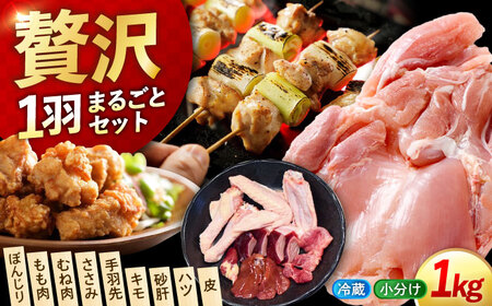 鶏肉 一黒シャモ 約1kg 鶏肉[XAH003]