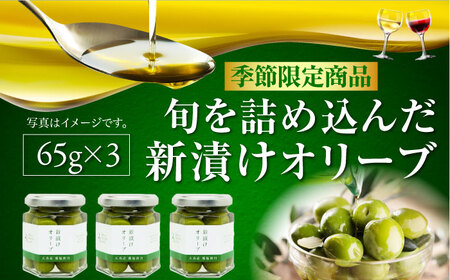 オリーブオイル オリーブの新漬け 65g×3個 オリーブオイル [XAJ012]