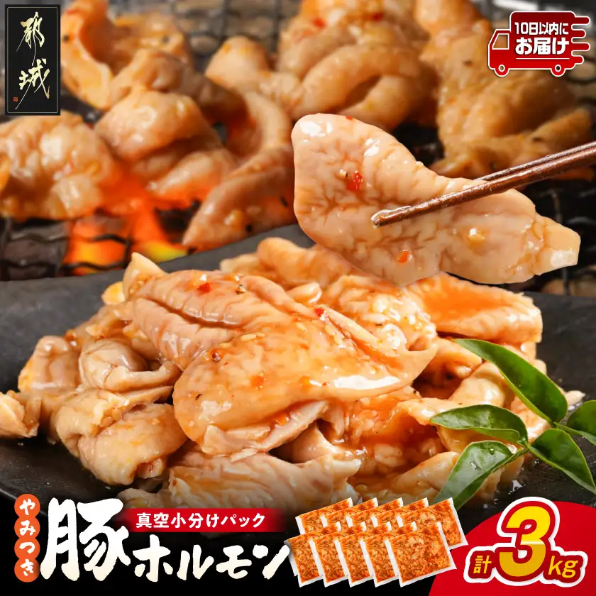やみつき豚ホルモン!3kg!真空小分けパック!≪みやこんじょ特急便≫〔LG8-3303-Q〕_(都城市) 国産豚 ホルモン 味付き 300g×10P 3kg 小分け 真空パック 
