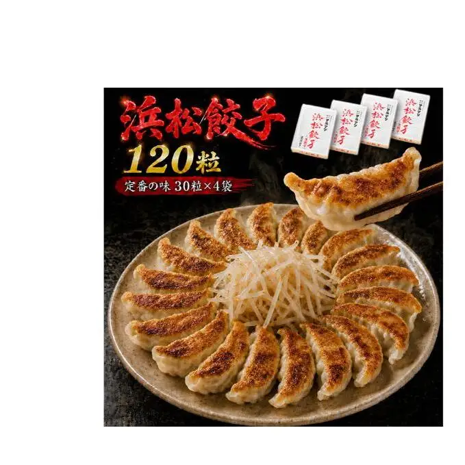 餃子 浜松餃子 120粒 定番の味 30粒×4袋 餃子