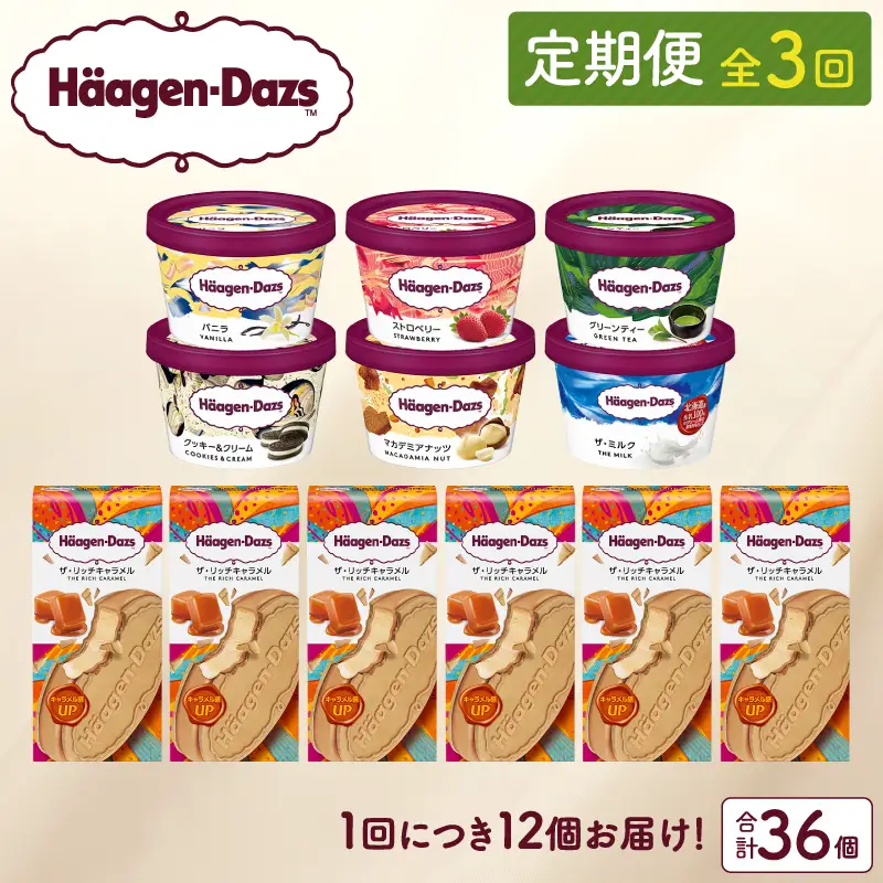 ＜全3回定期便・連続＞ハーゲンダッツ『ミニカップ＆クリスピーサンドセット(合計36個)』アイスクリーム アイス スイーツ デザート ミルクアイス アイススイーツ アイスデザート_H0016-137