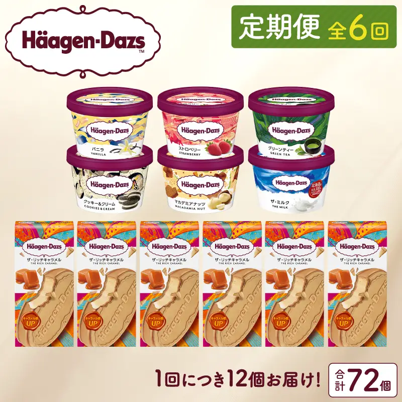 ＜全6回定期便・連続＞ハーゲンダッツ『ミニカップ＆クリスピーサンドセット(合計72個)』アイスクリーム アイス スイーツ デザート ミルクアイス アイススイーツ アイスデザート_H0016-138
