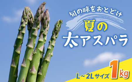 【先行受付2026年発送】農家直送！新鮮！夏獲れ太（L～2L）アスパラ約1kg（およそ25～35本）｜のららぼ農園 ※2026年7月上旬～9月中旬発送予定