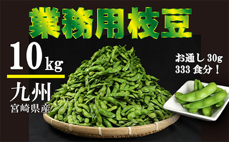 《大容量10kg》宮崎県産えだまめ [業務用 茶豆風 枝豆 冷凍野菜 ストック食材] TF0576-P00019 [TF576]