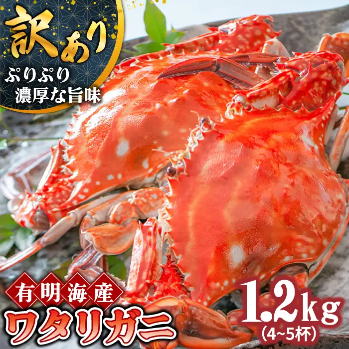 【2027年7月-発送】【訳あり】数量限定 有明海のワタリガニ 約1.2kg（4～5匹） / かに ボイル カニ爪 渡り蟹 / 南島原市 / 長栄丸水産[SFM001] [SFM001] ワタリガニ
