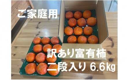 【訳あり】 精華園の家庭用 富有柿 約6.6kg【2026年12月上旬～12月下旬迄発送予定】