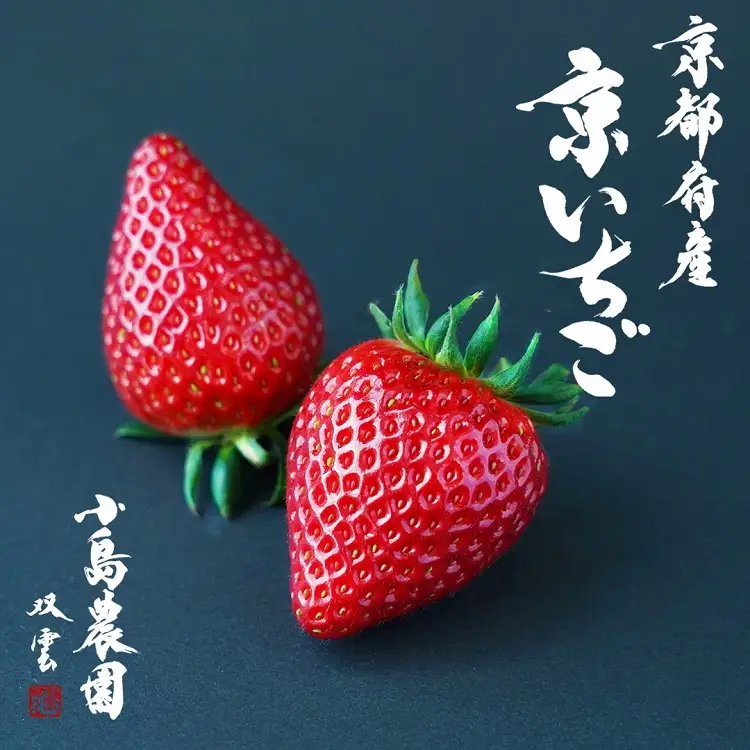 京いちご 約1kg いちご