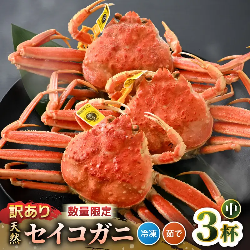 【訳あり】【数量限定！】 全て地物！ 天然！ セイコガニ中（140g～）3杯セット（冷凍）食べ方説明書付き  [m21-a041]