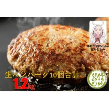 和牛入り生ハンバーグ　10個セット【配送不可地域：離島】【1281816】