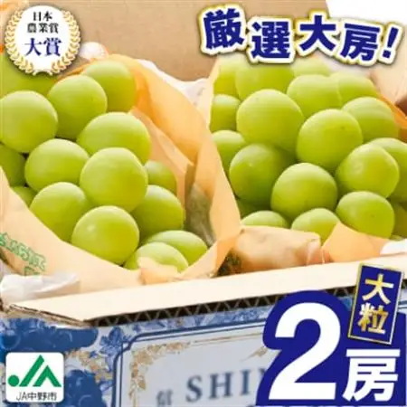 2026年先行予約　9月上旬～10月下旬発送JA中野市大粒 大房シャインマスカット2房1.3kg以上【配送不可地域：離島】【1459211】