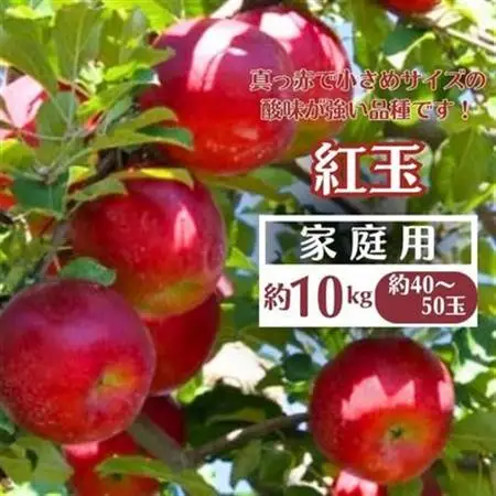 【先行受付】りんご(紅玉) 家庭用 約10kg(40～50玉)【1494254】