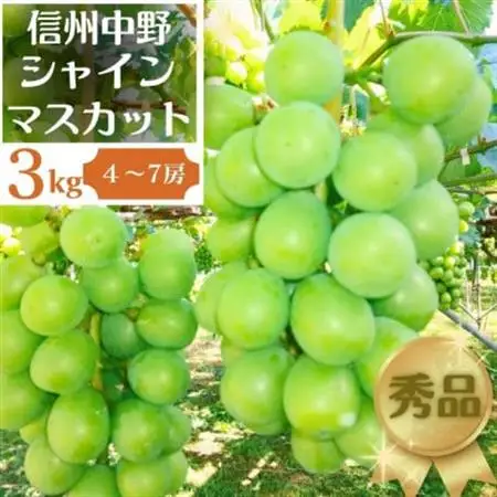 長野県中野市産ぶどう・シャインマスカット秀品 3kg箱 4～7房入り【配送不可地域：離島】【1494261】