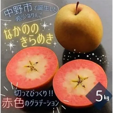 【希少赤い果肉!数量限定】なかののきらめき家庭用5kg(16玉～20玉)【1494785】