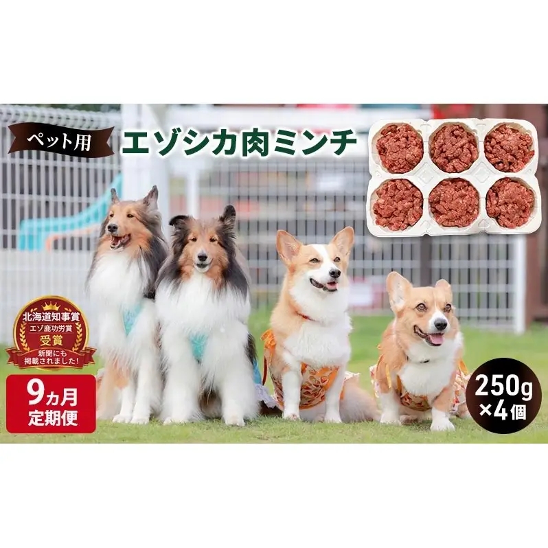 9ヵ月定期便 ペットのおやつ【エゾシカ肉のミンチ】250g×4 南富フーズ株式会社 鹿肉 ジビエ 餌 犬 猫 鹿 ペット 健康 無添加 肉 北海道 南富良野町 エゾシカ 