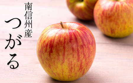 KR22 りんご つがる 約3kg 贈答 / 2026年8月下旬頃～配送予定 // 長野県 南信州 ギフト 贈答 リンゴ 林檎 つがる 農家直送 農家支援 産地直送