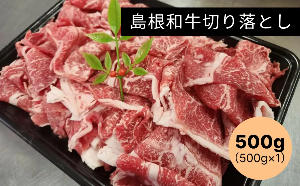 島根和牛切り落とし500g 国産 肉 切り落とし 切り落とし肉 和牛 牛肉 【185_2049】