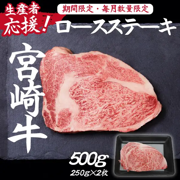 【生産者応援！】宮崎牛ロースステーキ500g（250g×2枚 宮崎牛 和牛 国産 牛肉 霜降り ステーキ ロース 冷凍 送料無料） ステーキ 和牛ステーキ 牛肉ステーキ 国産ステーキ ロースステーキ