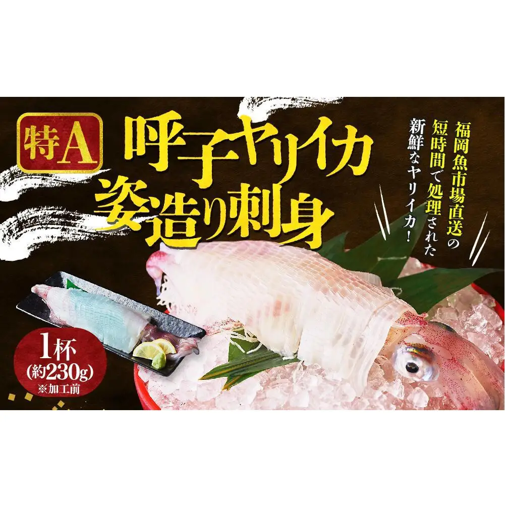 特A 呼子ヤリイカ 姿造り 刺身 1杯 加工前 230g セット いか ヤリイカ 刺身 お刺身 海鮮 魚 魚介 海の幸 おつくり 国産 九州 博多 福岡市