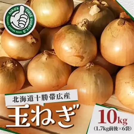 北海道十勝帯広産 玉ねぎ 10kg_野菜 玉ねぎ  たまねぎ タマネギ_【配送不可地域：離島】【1497180】