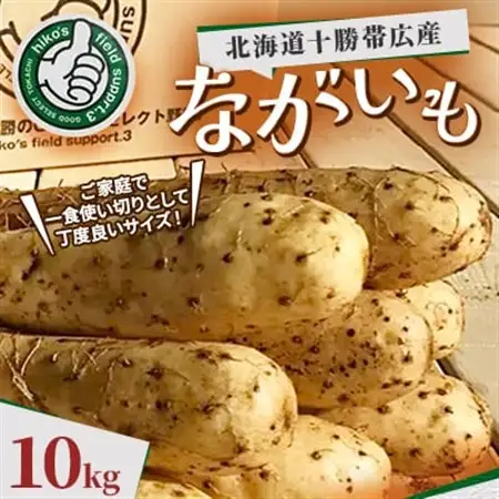 北海道十勝帯広産 ながいも 10kg_野菜  いも イモ 芋_【配送不可地域：離島】【1497185】