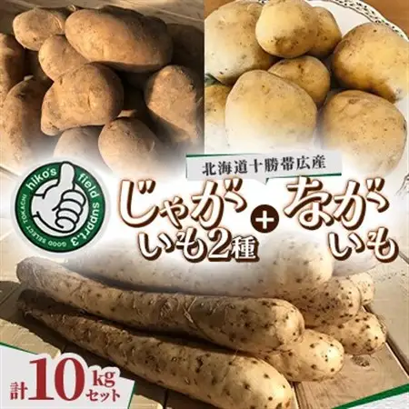  じゃがいも2種+ながいも 計10kgセット　北海道十勝帯広産_野菜 じゃがいも いも ジャガイモ 馬鈴薯  野菜  いも イモ 芋_【配送不可地域：離島】【1497187】