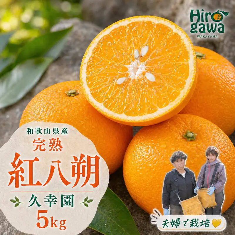 完熟 紅八朔 5kg 久幸園 / はっさく 甘い 和歌山 柑橘 ※2027年4月上旬～5月上旬頃に順次発送予定 【hsk022-beni-5】